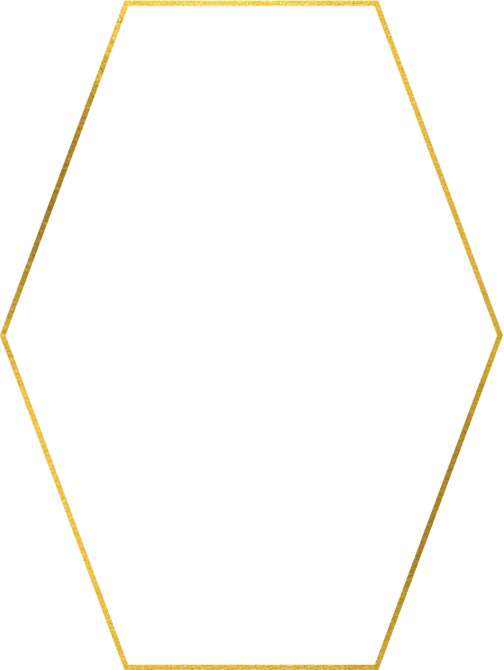 Gold Hexagon Border